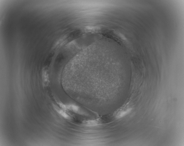 X0000061150576200511181237