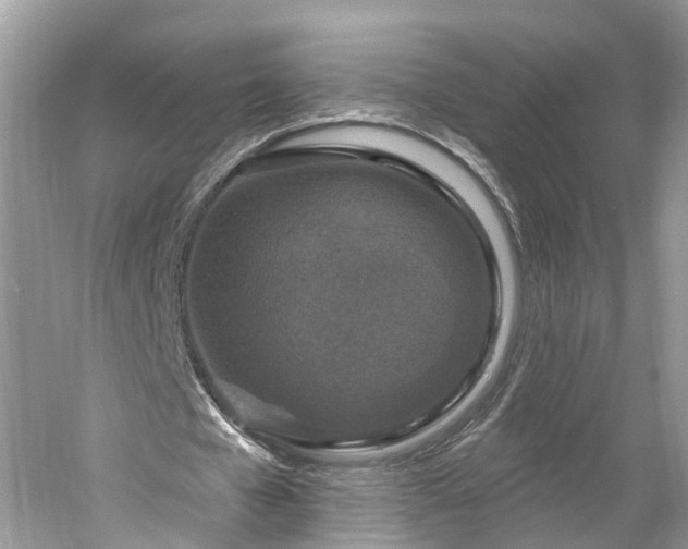 X0000061150577200511181237