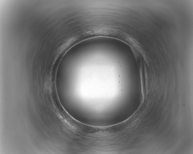 X0000061150578200511181237