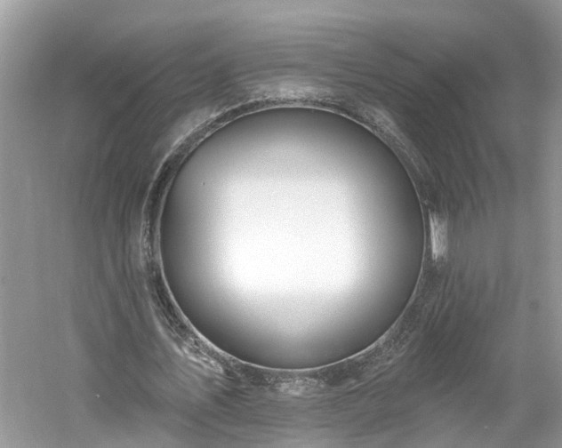 X0000061150579200511181237