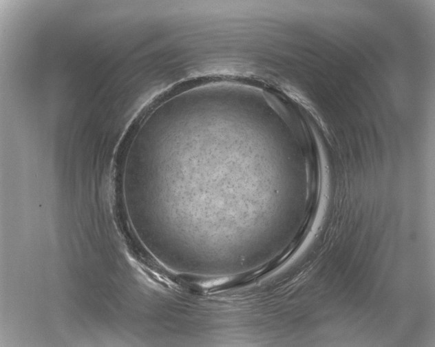 X0000061150580200511181237