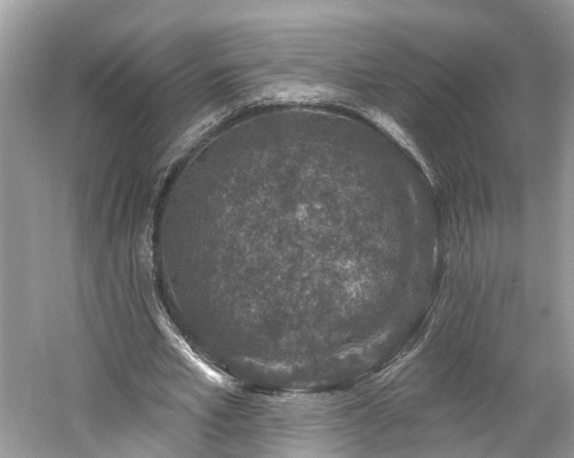 X0000061150581200511181237