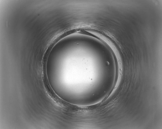 X0000061150582200511181236