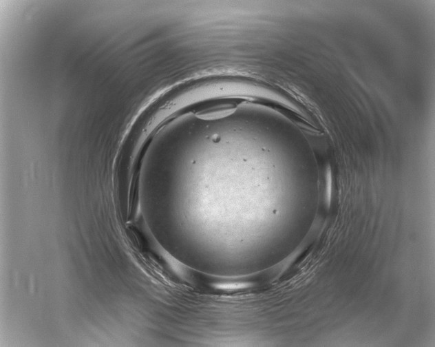 X0000061150584200511181236