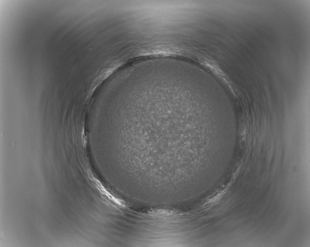 X0000061150585200511181236