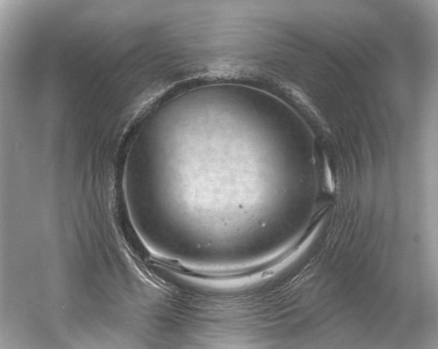 X0000061150588200511181236