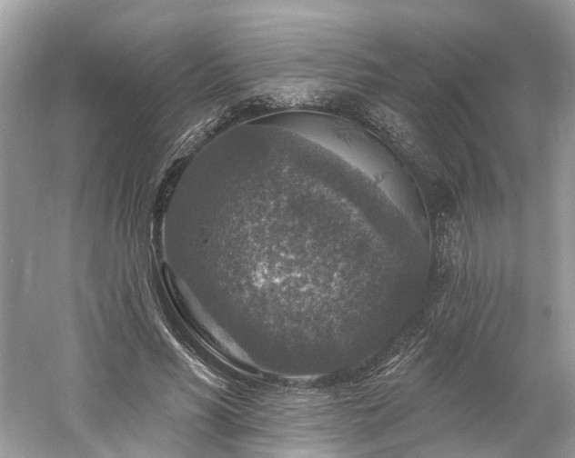 X0000061150590200511181236