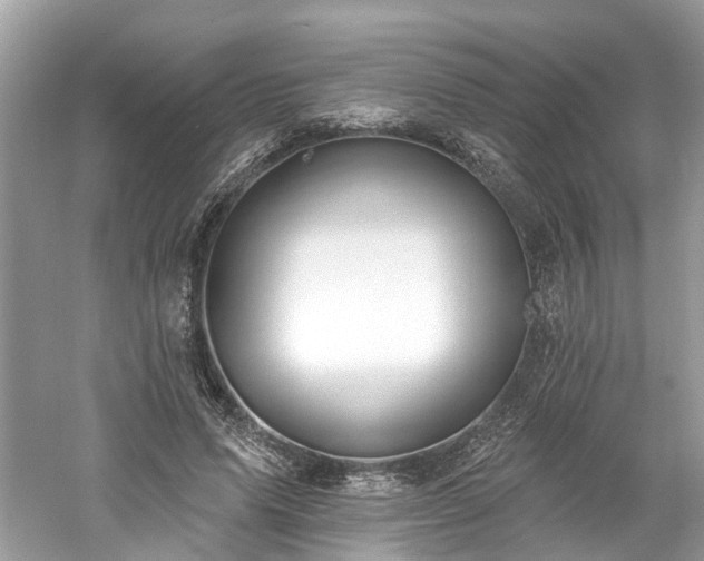 X0000061150591200511181236