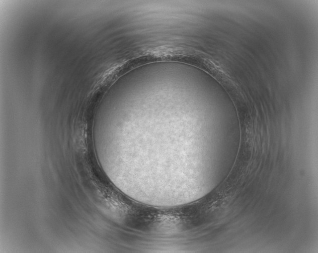 X0000061150592200511181236