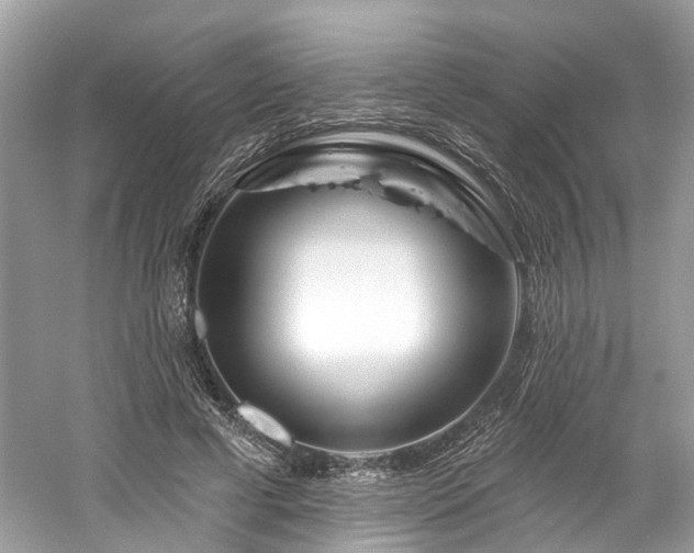 X0000061150593200511181236