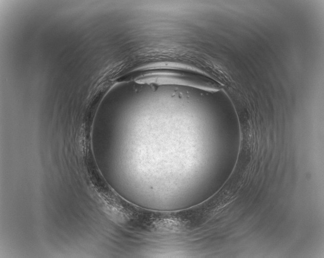 X0000061150594200511181236