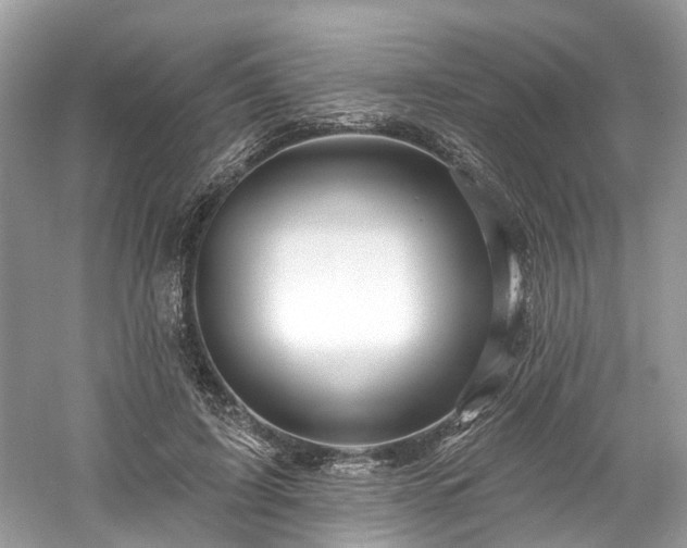 X0000061150595200511181236