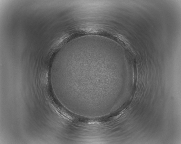 X0000061150596200511181236