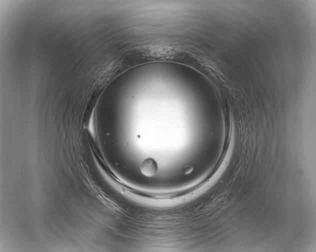 X0000061150597200511181236