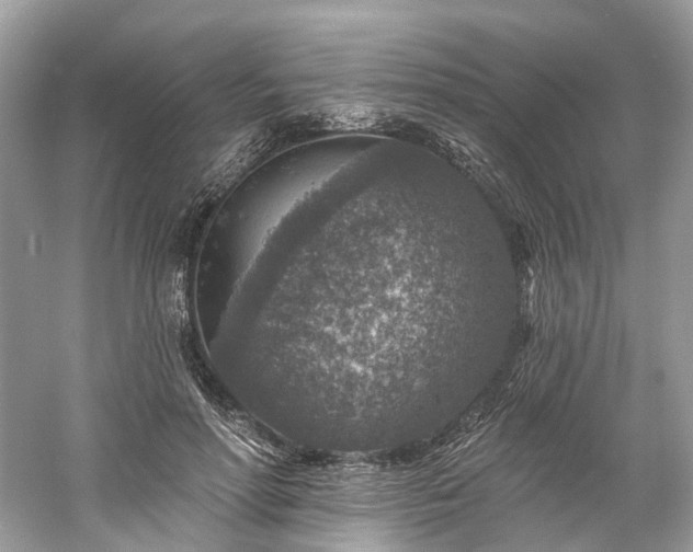 X0000061150598200511181236