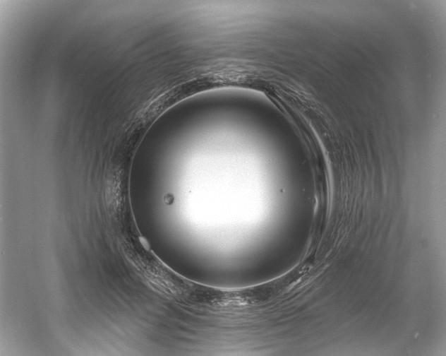 X0000061150600200511181236