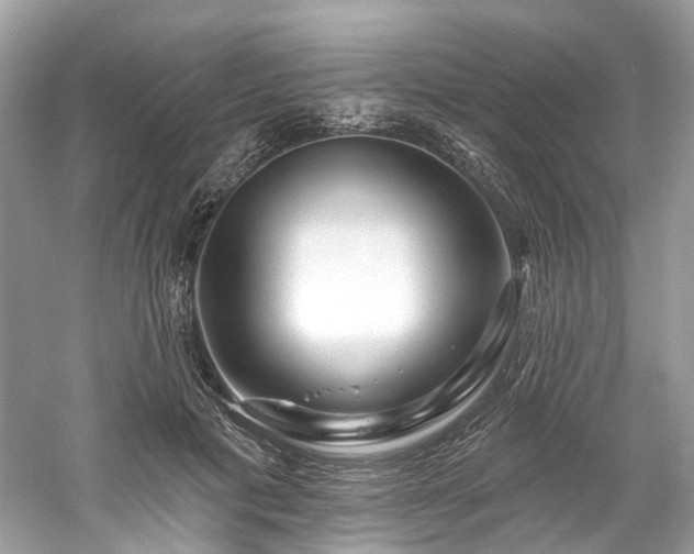 X0000061150601200511181236