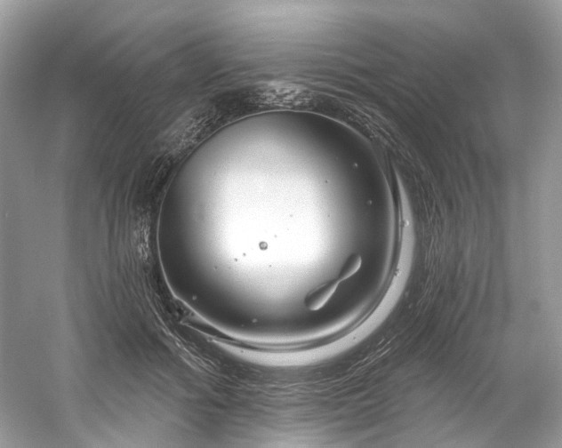 X0000061150602200511181236