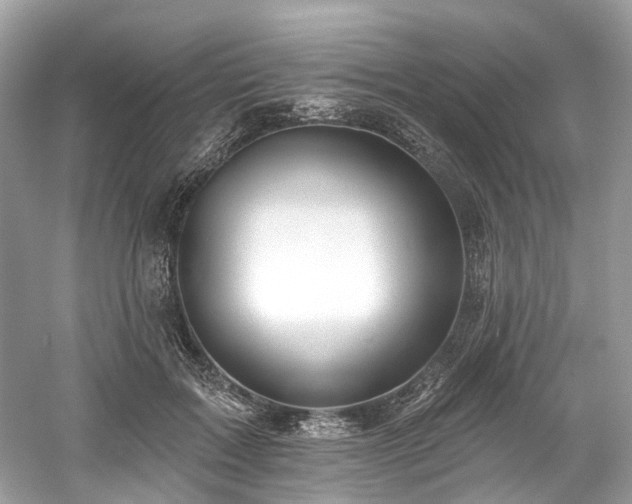 X0000061150603200511181236