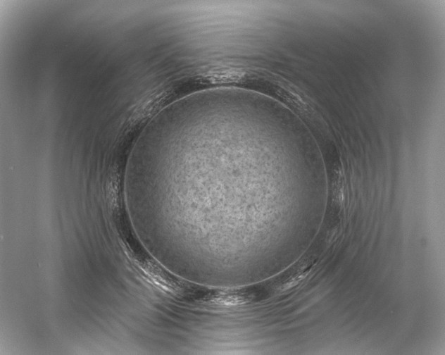 X0000061150604200511181236