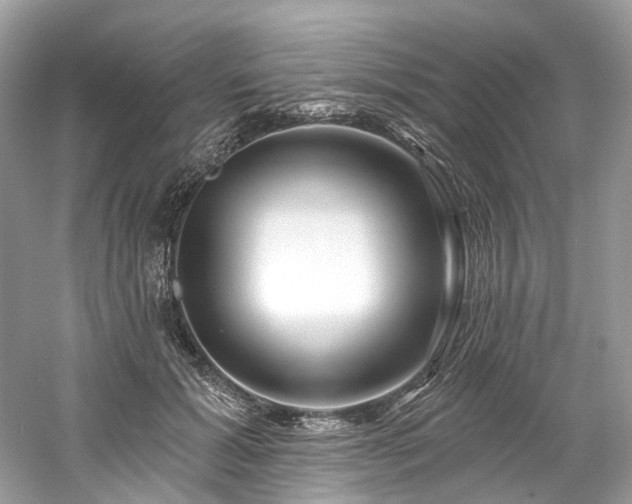 X0000061150605200511181236