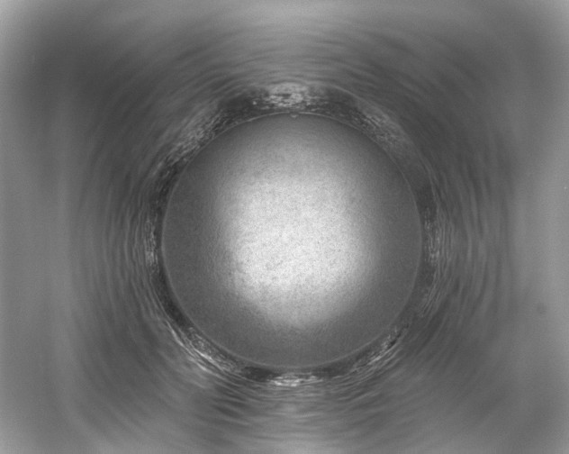 X0000061150606200511181236