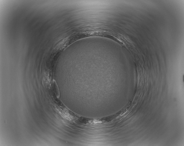 X0000061150607200511181236