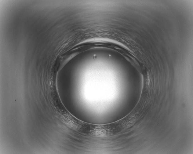 X0000061150608200511181236