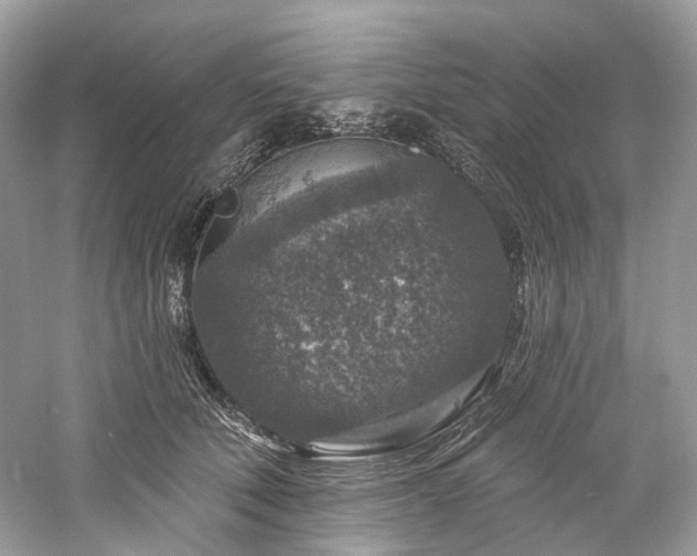 X0000061150610200511181236