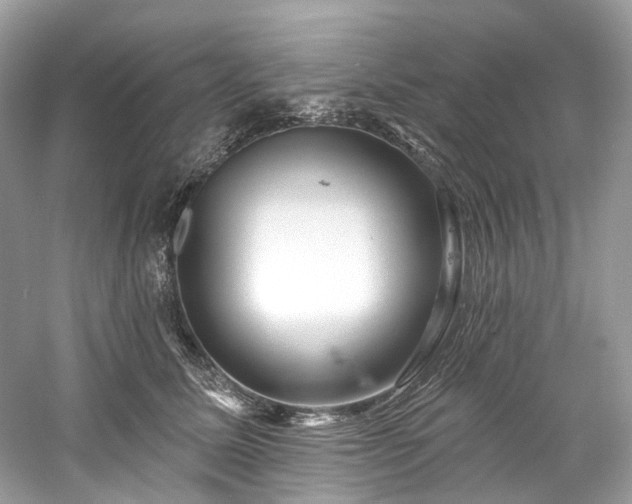 X0000061150611200511181236