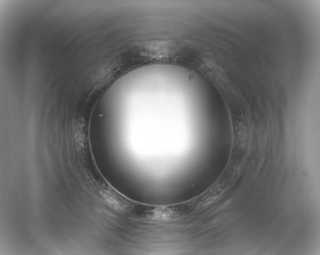 X0000061150612200511181236