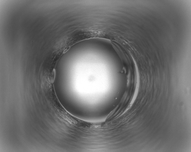 X0000061150613200511181236