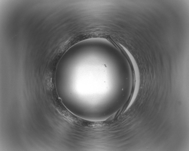 X0000061150615200511181236