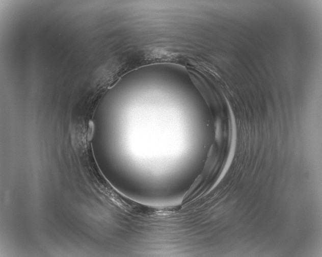 X0000061150617200511181236