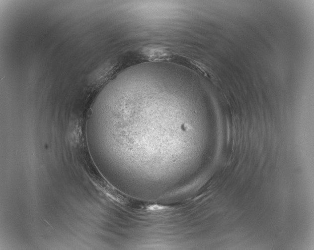 X0000061150618200511181236