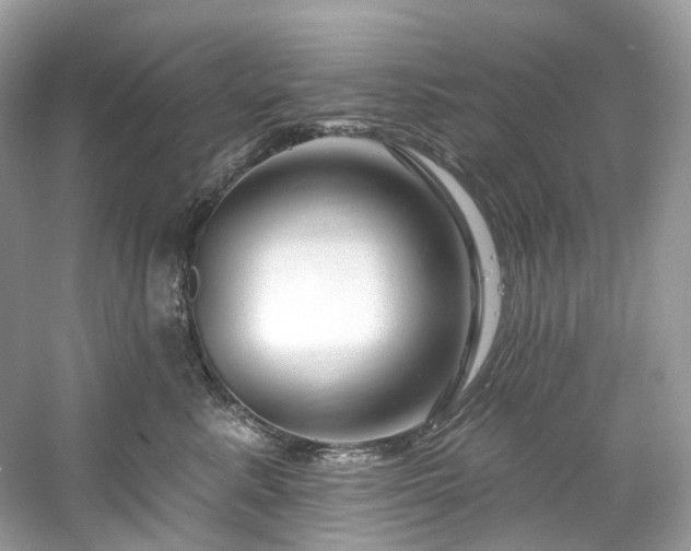 X0000061150619200511181236