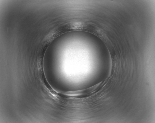 X0000061150620200511181236