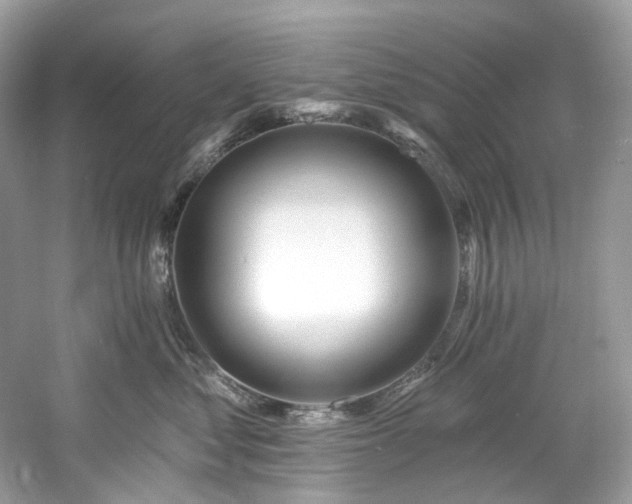 X0000061150621200511181236