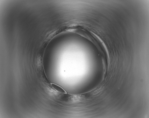 X0000061150623200511181236