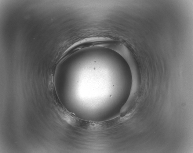 X0000061150624200511181236