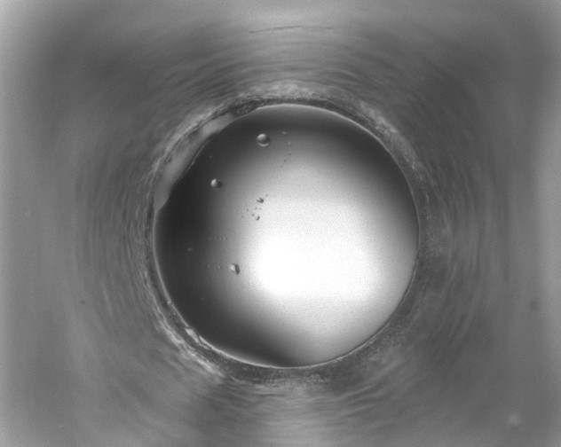 X0000061150625200511181235