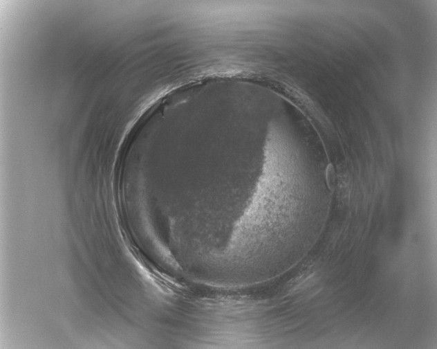 X0000061150626200511181235