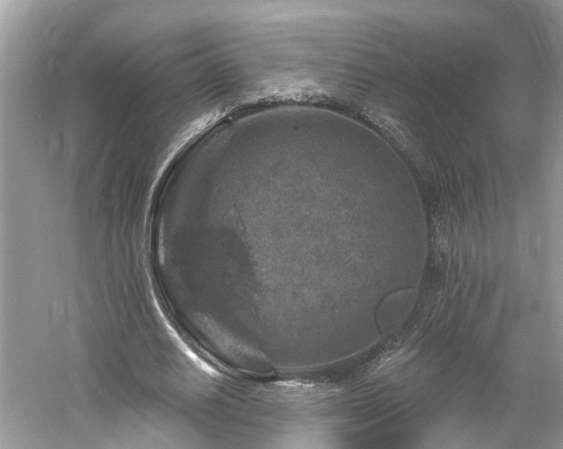 X0000061150630200511181235