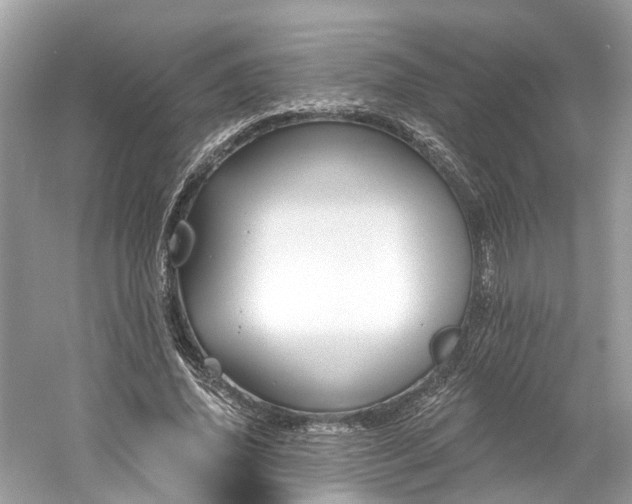 X0000061150636200511181235