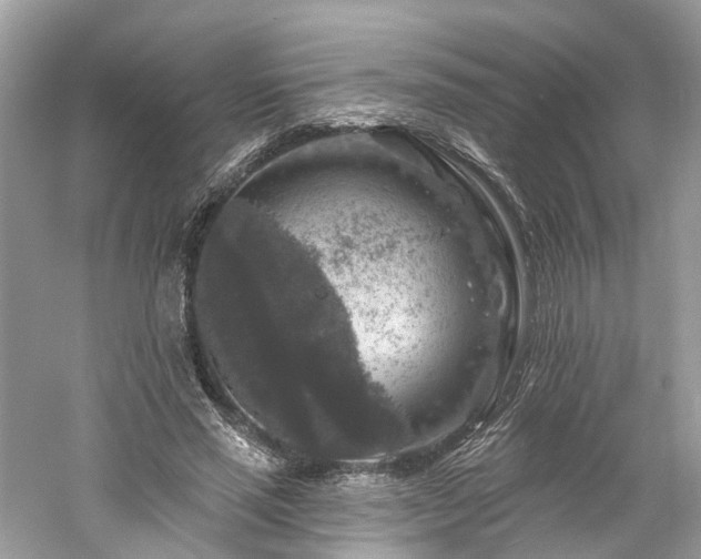 X0000061150637200511181235