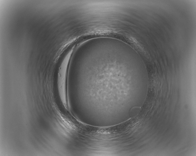 X0000061150640200511181235