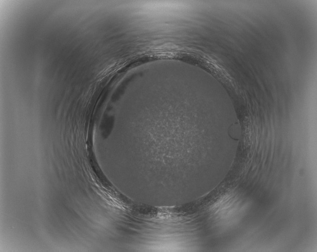 X0000061150641200511181235