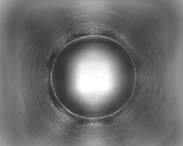 X0000061150645200511181235