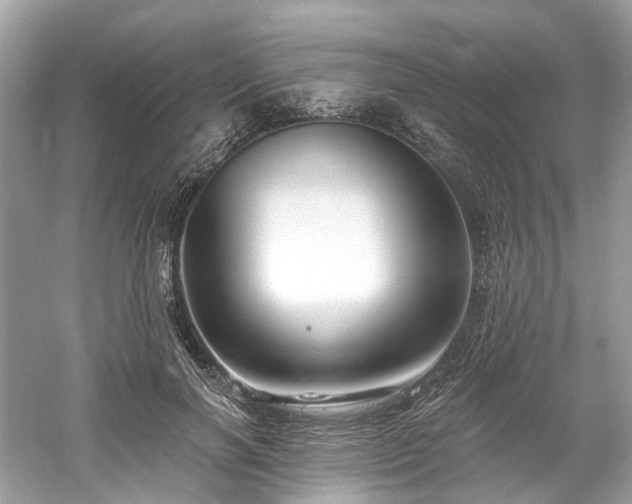 X0000061150646200511181235