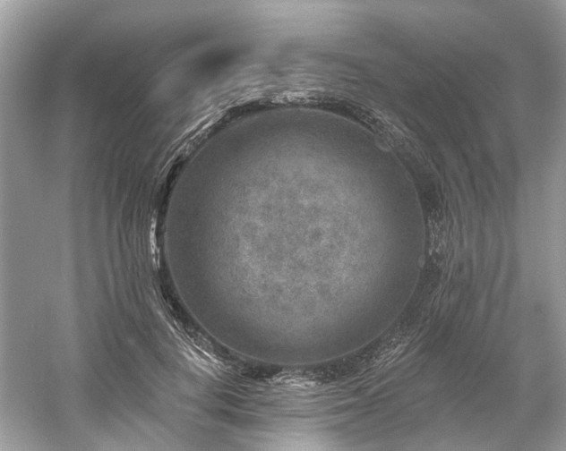 X0000061150648200511181235